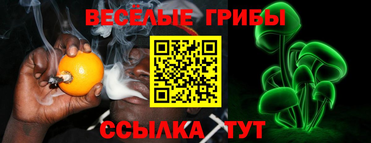 Псилоцибиновые грибы Magic Shrooms Солнечногорск